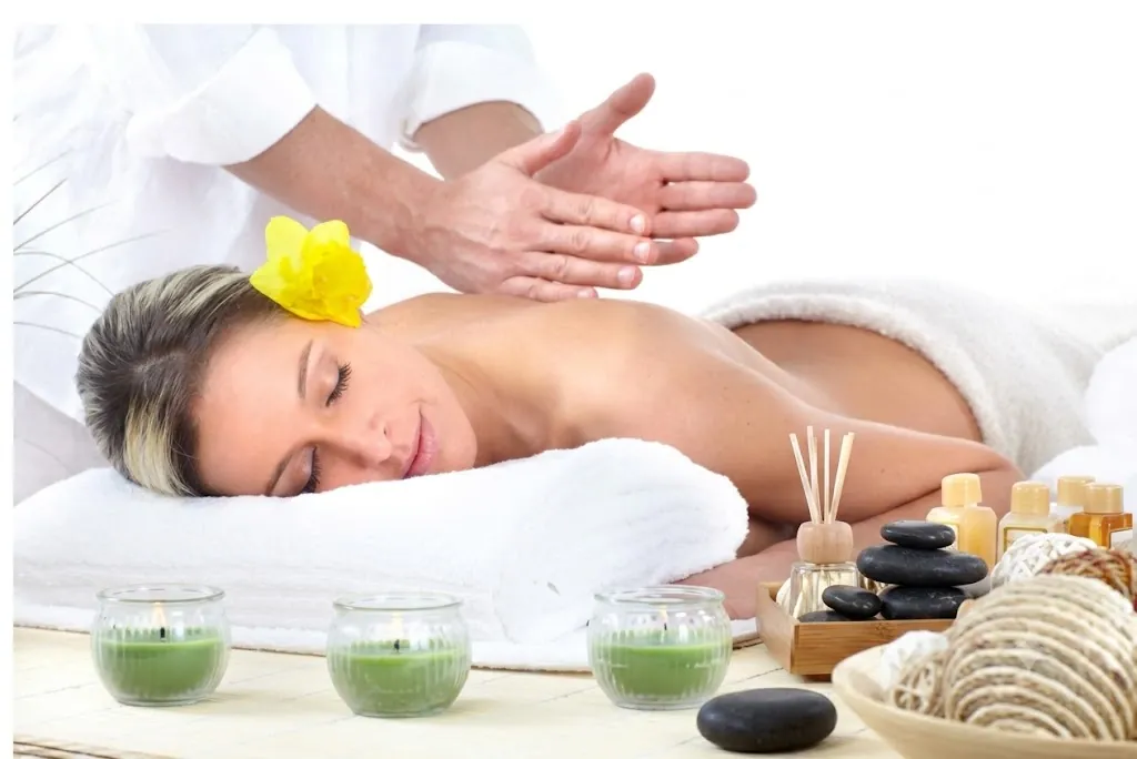 Body Therapy [Dry & Oil]
